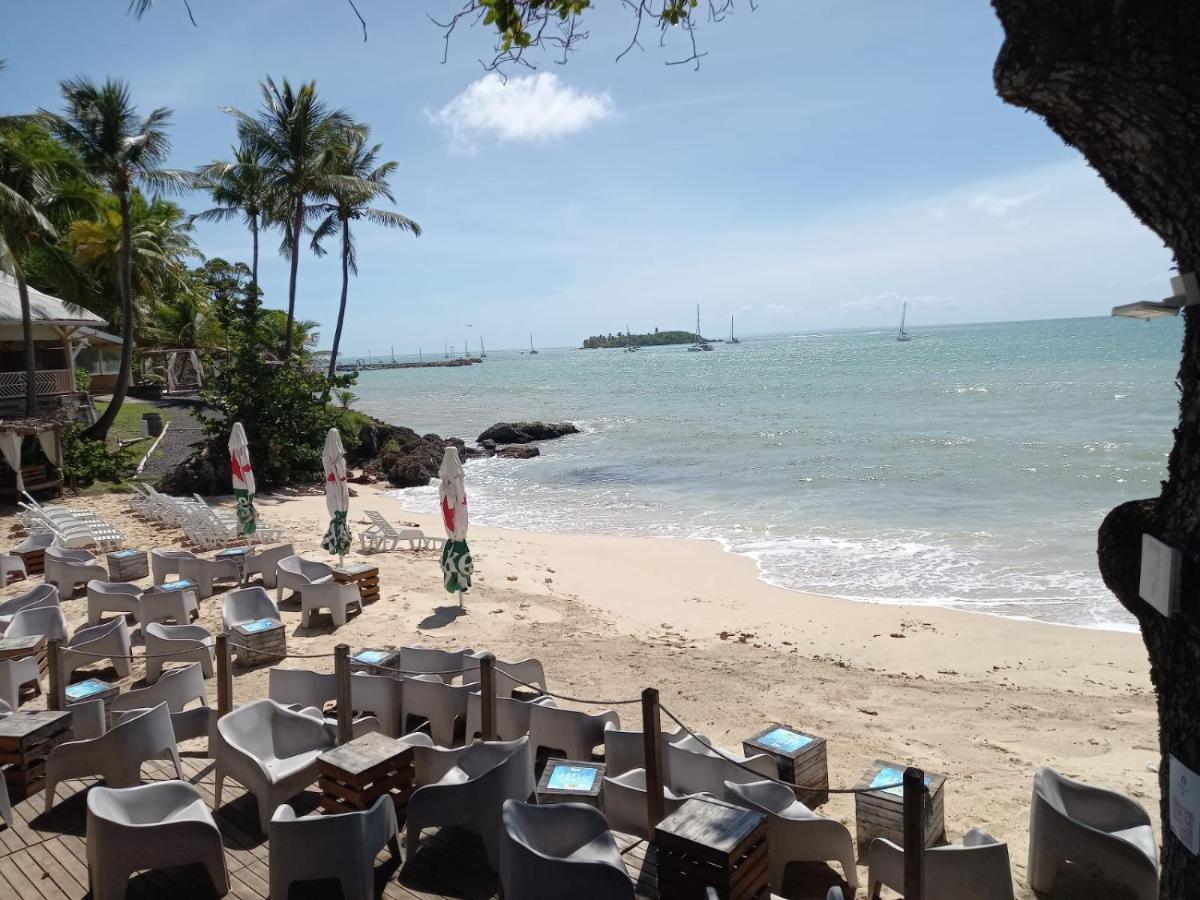 Grand Studio De 41 M², Vue Mer Et Jardin Tropical. Le Gosier  Exterior foto