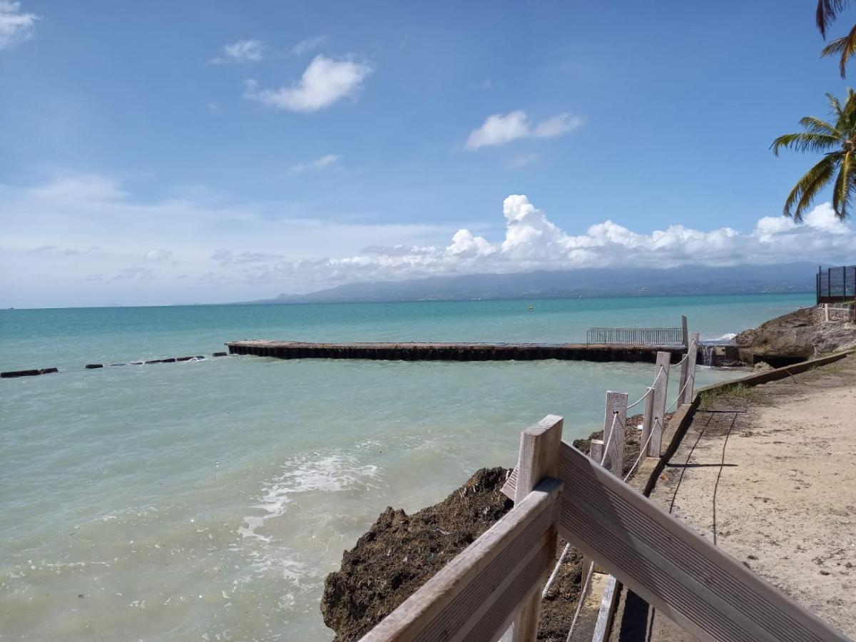Grand Studio De 41 M², Vue Mer Et Jardin Tropical. Le Gosier  Exterior foto