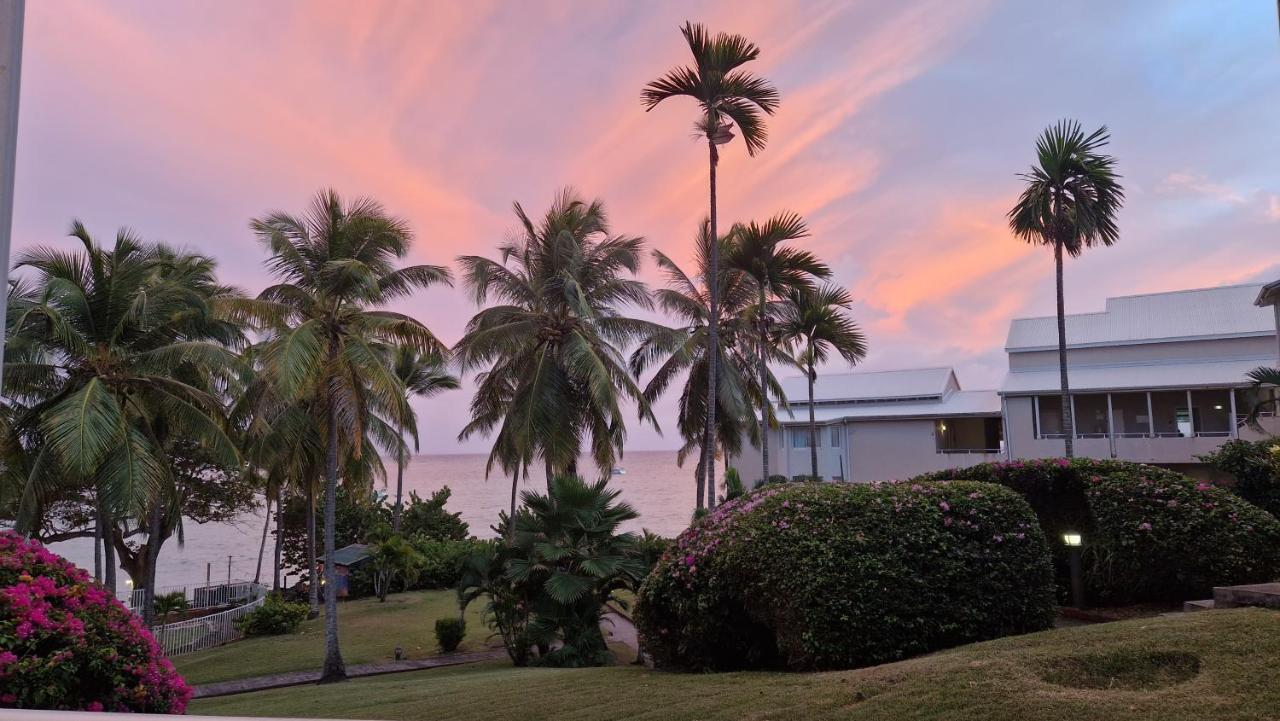 Grand Studio De 41 M², Vue Mer Et Jardin Tropical. Le Gosier  Exterior foto